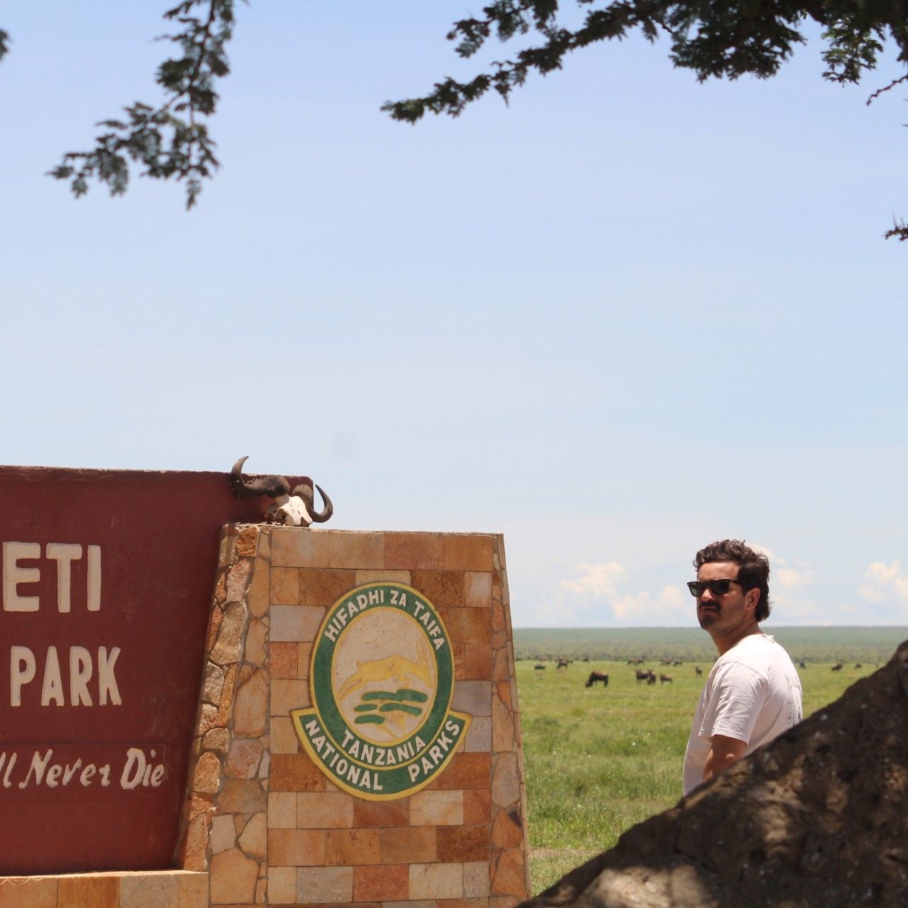 Entrada al Parque Nacional del Serengeti, Tanzania
